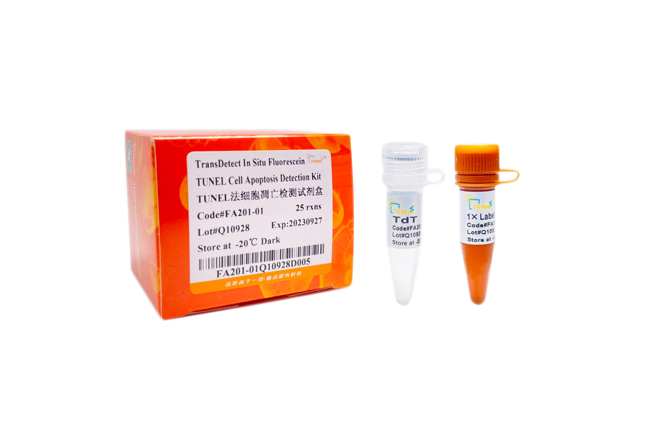TransDetect® In Situ Fluorescein TUNEL Cell Apoptosis Detection Kit