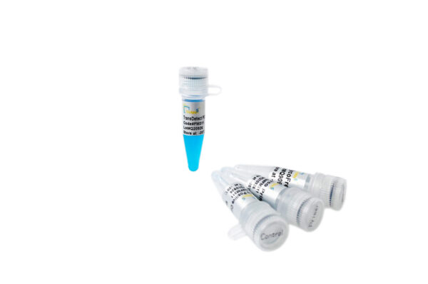 TransDetect® PCR Mycoplasma Detection Kit