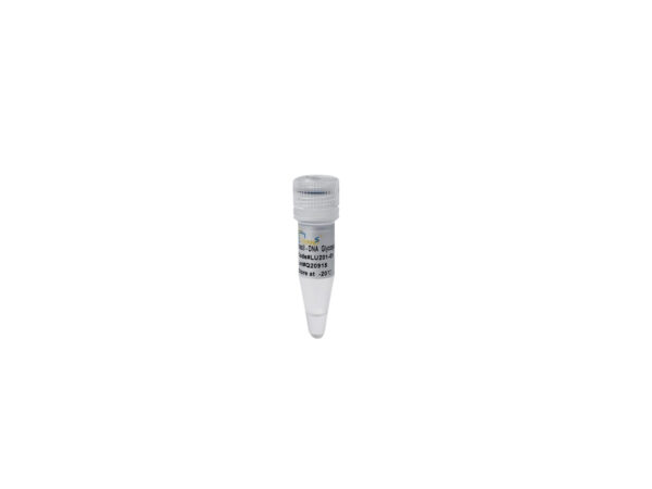 Uracil-DNA Glycosylase (Low Temperature)