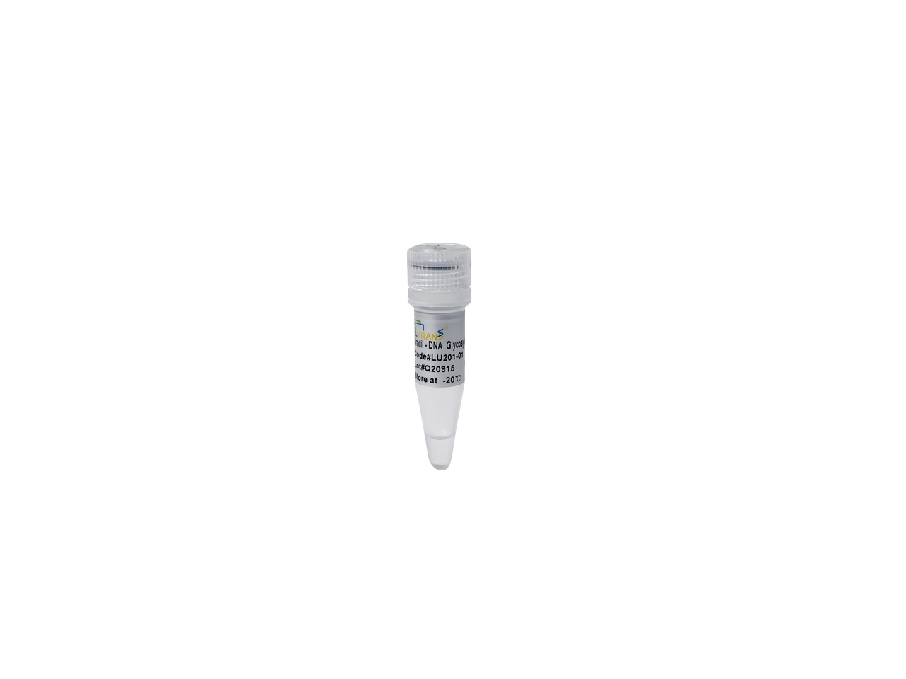 Uracil-DNA Glycosylase (Low Temperature)