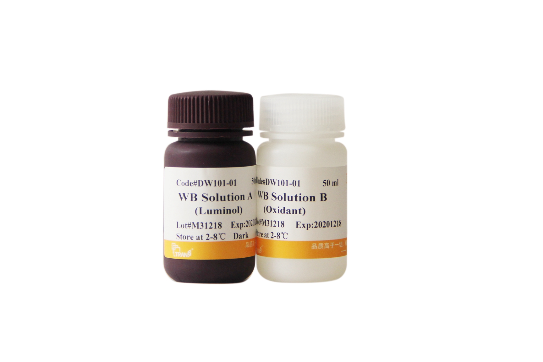 EasySee® Western Blot Kit
