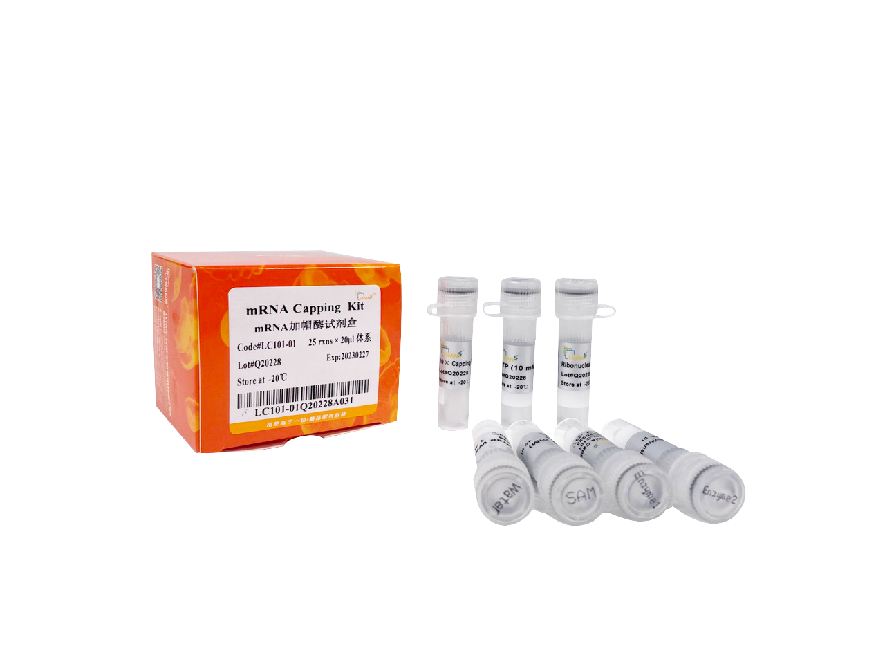 mRNA Capping Kit