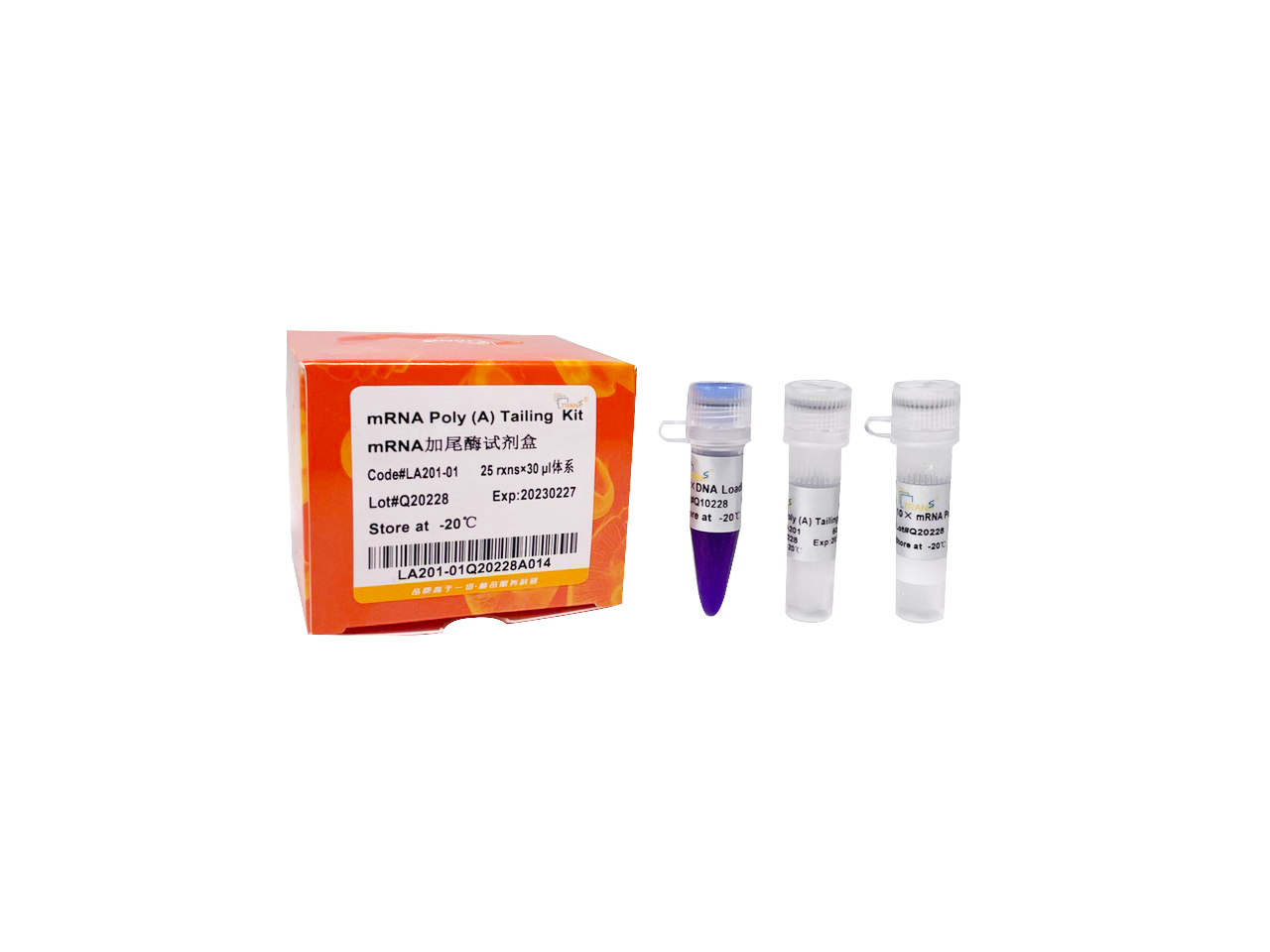 mRNA Poly(A) Tailing Kit